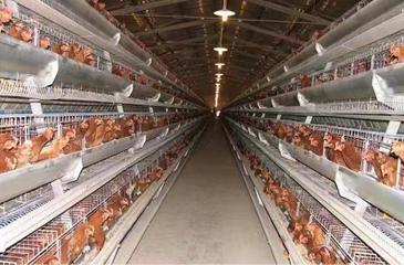 德赢·(VWIN)官方网站-AC米兰官方相助同伴